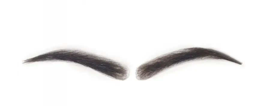 eyebrow wigs